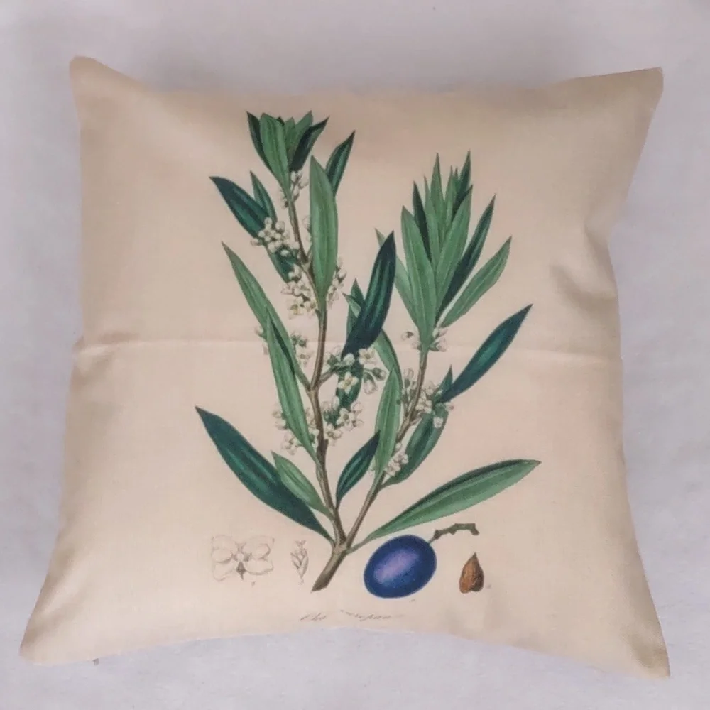 New SET Fruits & Veggies Accent Pillow Case